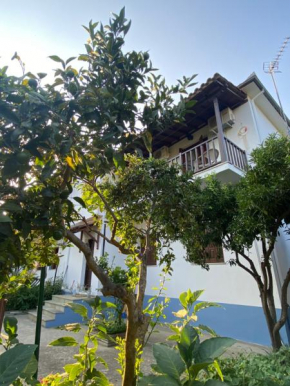 Zirganos Horton Pelion Apartment